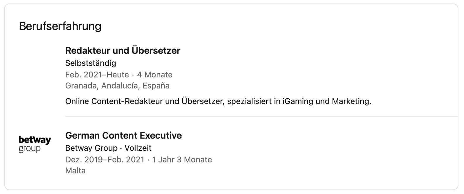 roman vogdt berufserfahrung